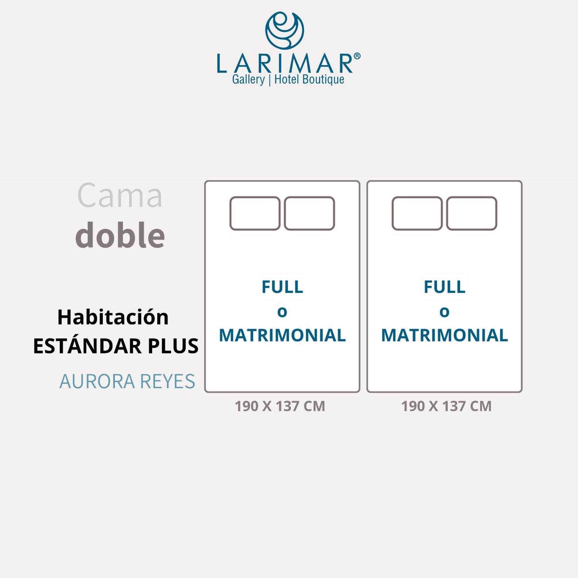 Larimar Gallery Y Hotel Boutique オアハカ州 エクステリア 写真
